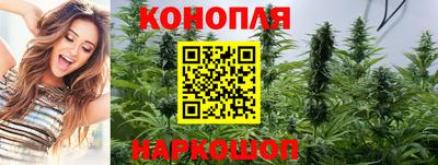 стаф Дубна