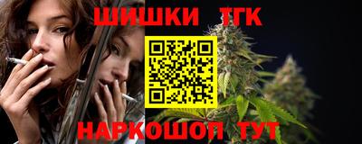 стаф Дубна