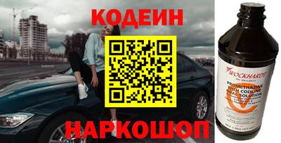 стаф Дубна